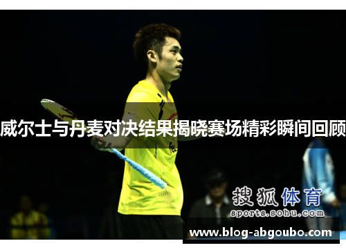 威尔士与丹麦对决结果揭晓赛场精彩瞬间回顾